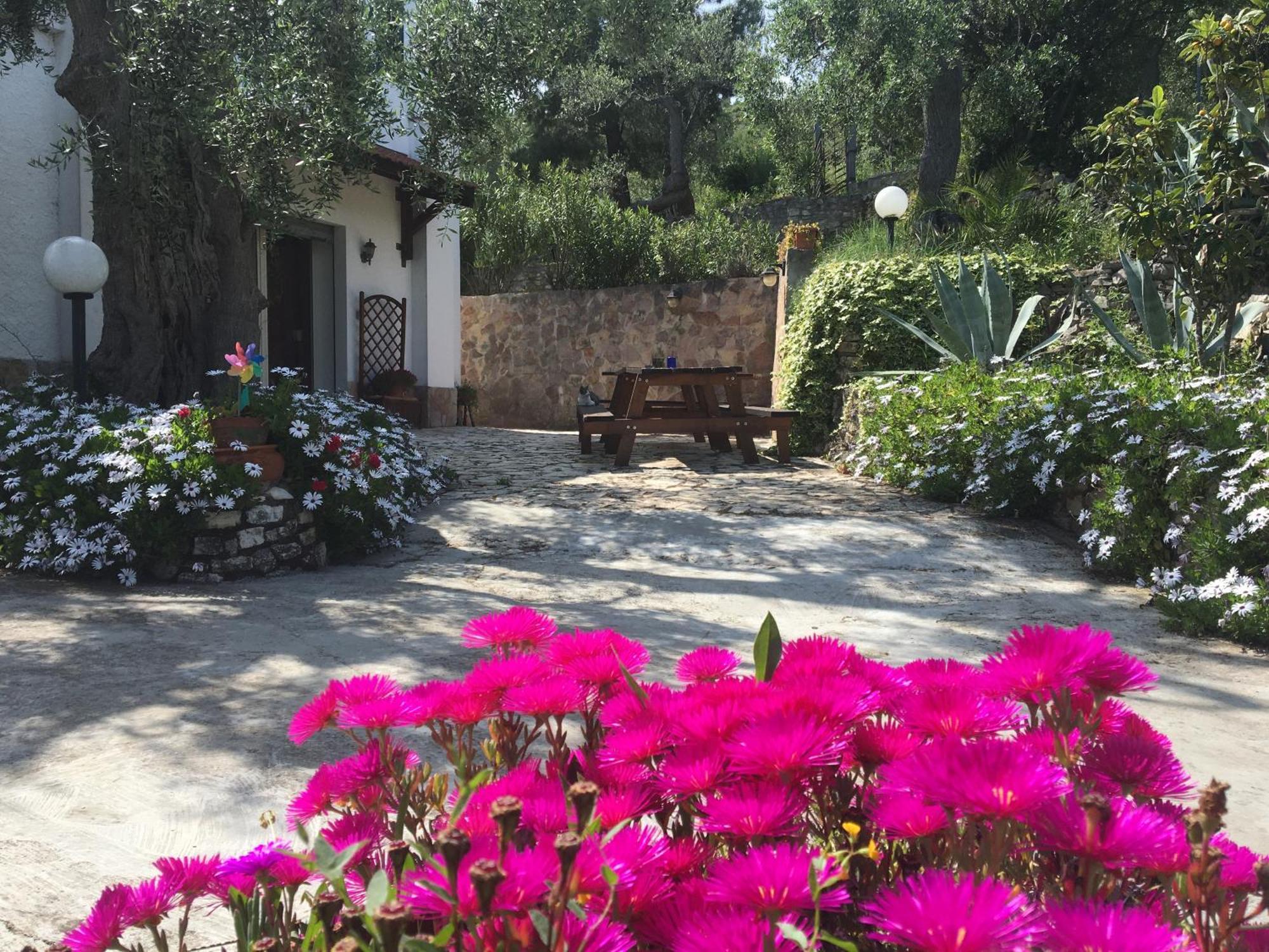 Azienda Agricola B&B Macchiaria เวียสเต ภายนอก รูปภาพ