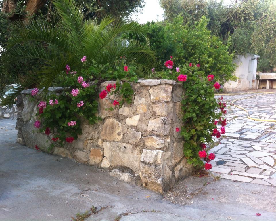 Azienda Agricola B&B Macchiaria เวียสเต ภายนอก รูปภาพ