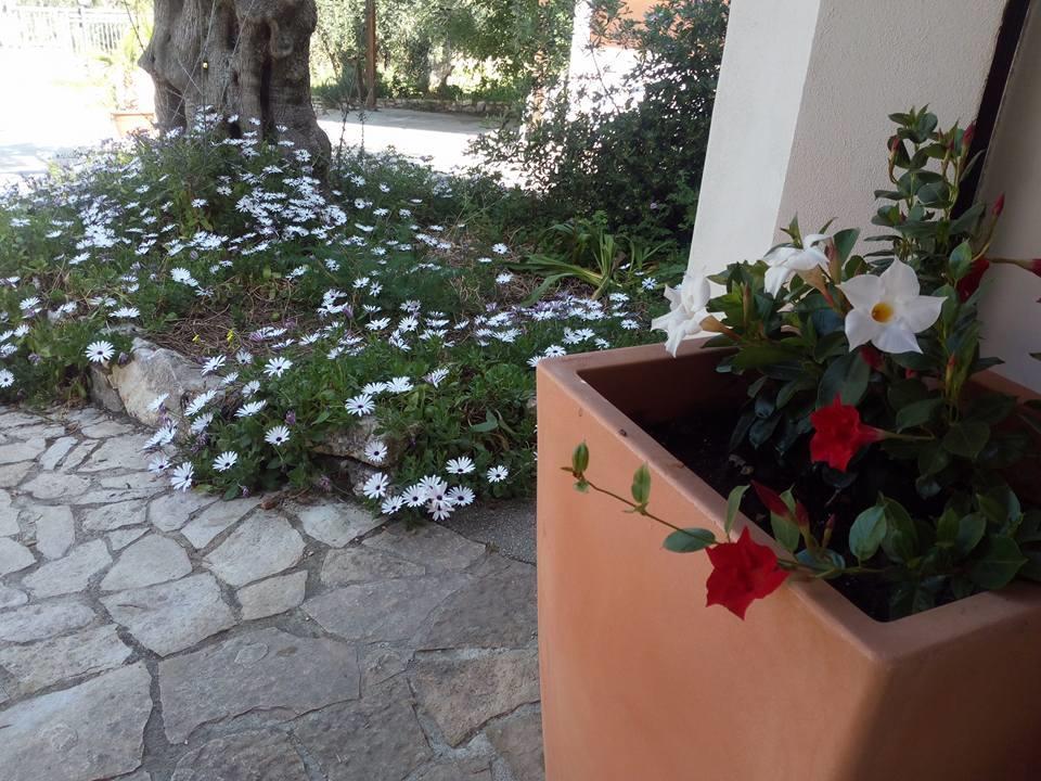 Azienda Agricola B&B Macchiaria เวียสเต ภายนอก รูปภาพ