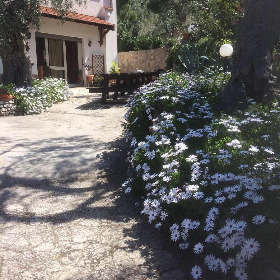 Azienda Agricola B&B Macchiaria เวียสเต ภายนอก รูปภาพ